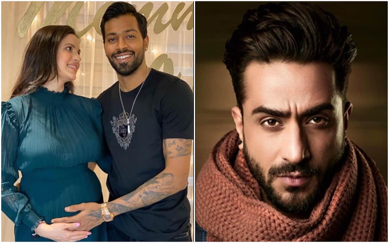 Hardik Pandya Shares Pregnant Natasa Stankovic Picture Her Ex Boyfriend aly goni reaction On Pregnancy