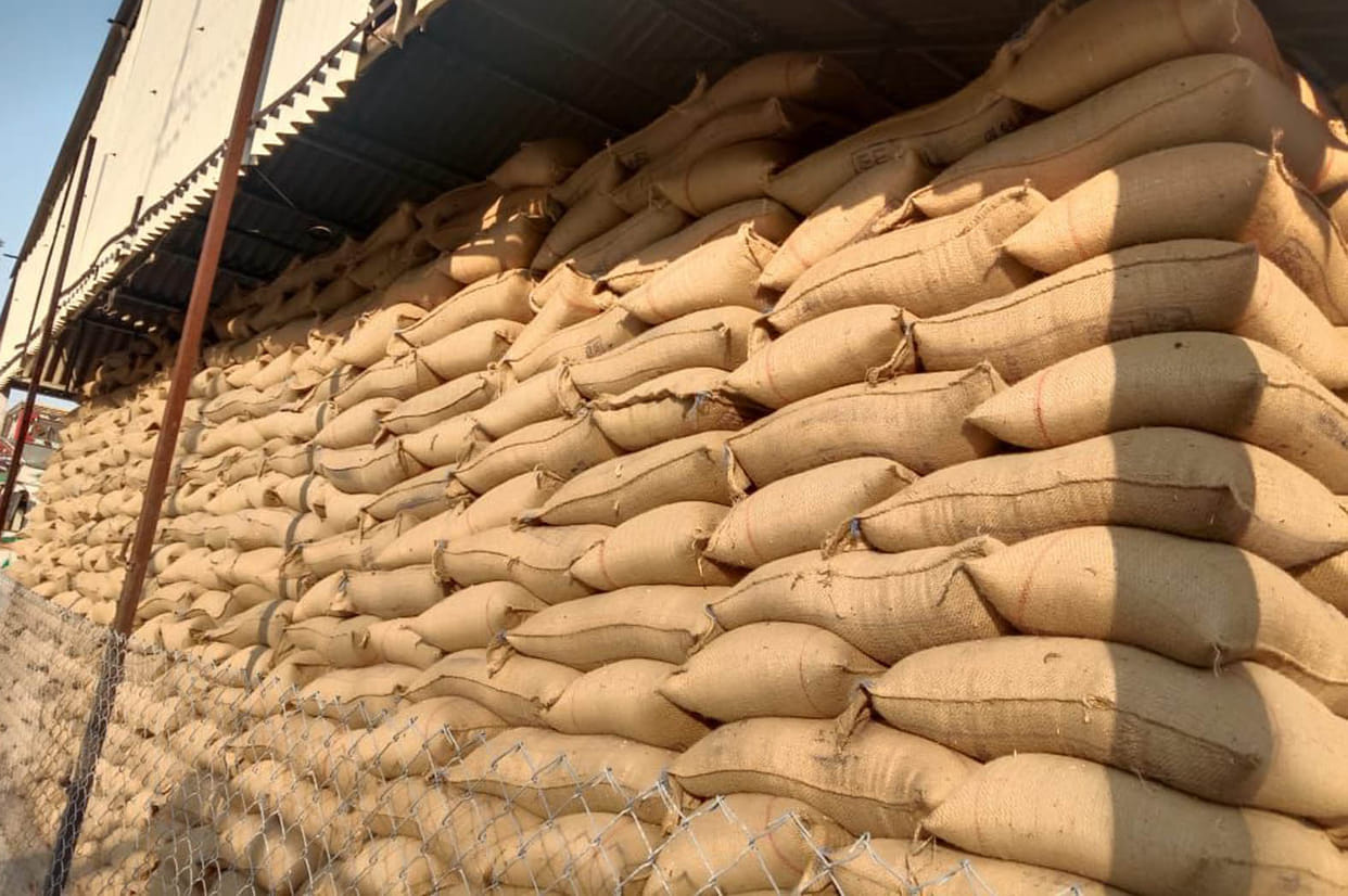 Wheat purchase shocks in Bundelkhand, 51 percent purchase