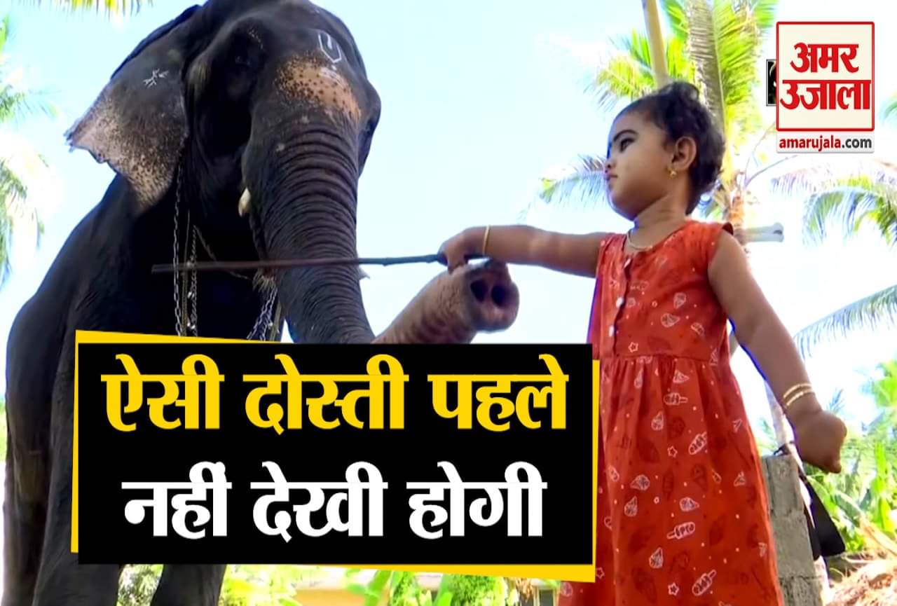 हाथी और बच्ची की दोस्ती