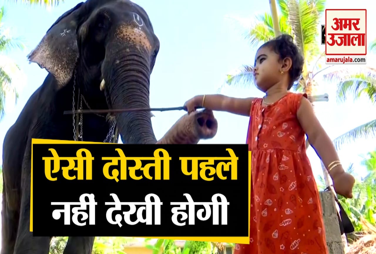हाथी और बच्ची की दोस्ती