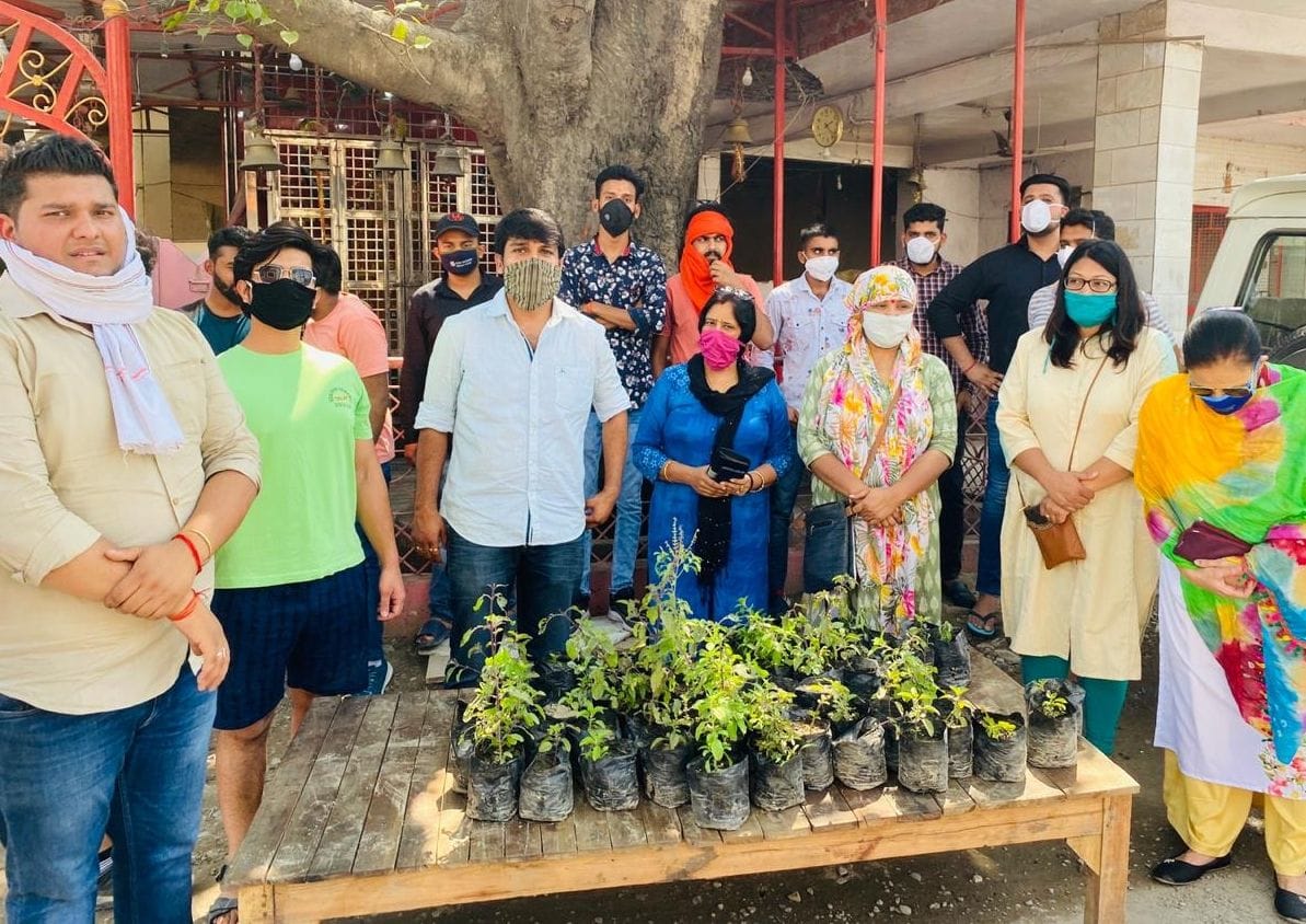 BJYM workers started distributing basil plants from house to house
