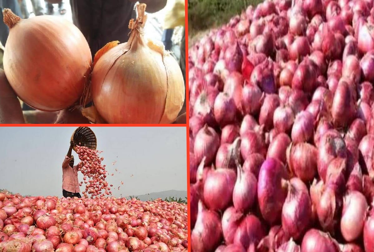 Onion prices very high in Navratri 2020