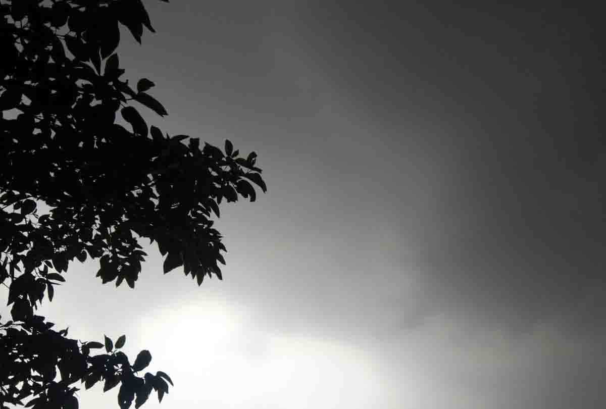 Weather Forecast Update Today in UP (Uttar Pradesh) News: weather in cities of UP, weather prediction