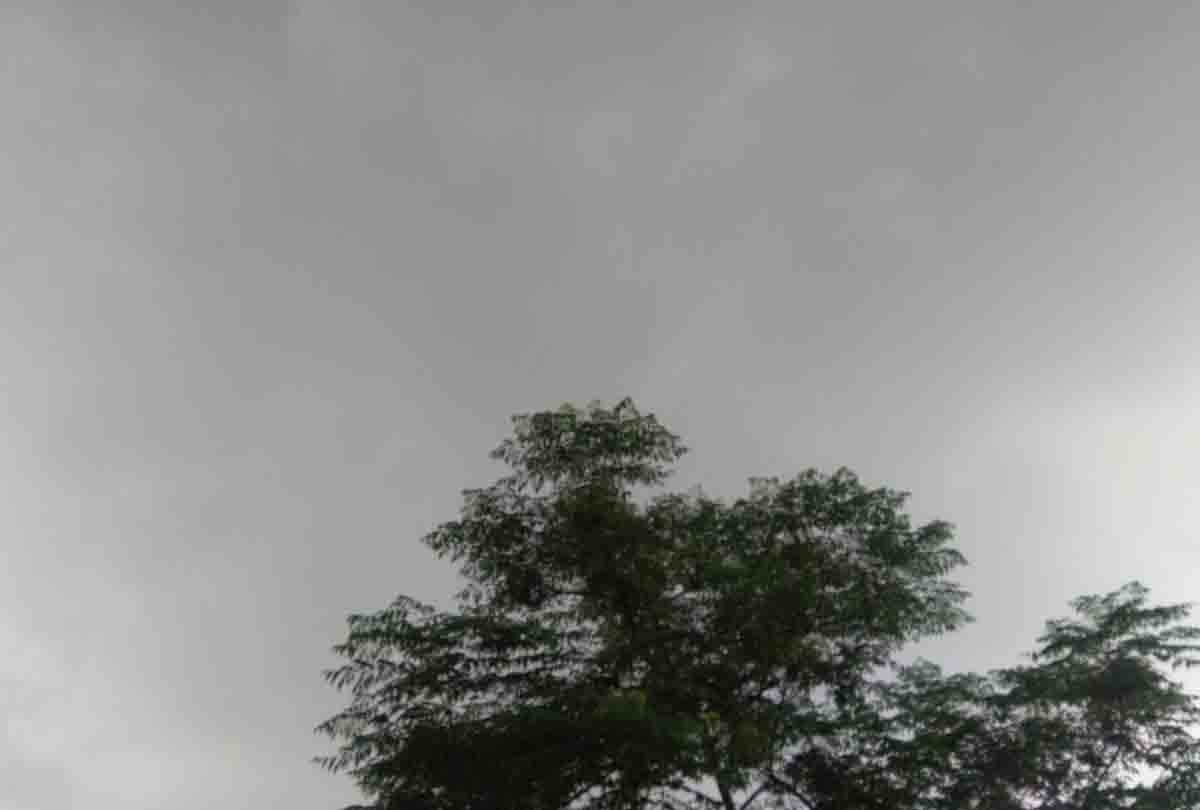 Weather Forecast Update Today in UP (Uttar Pradesh) News: weather in cities of UP, weather prediction