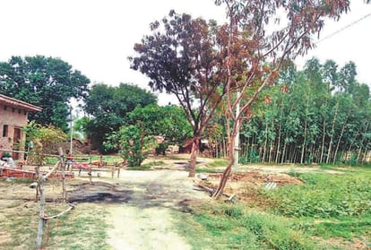 Ambika massacre: conspiracy hatched by cousin of female accused