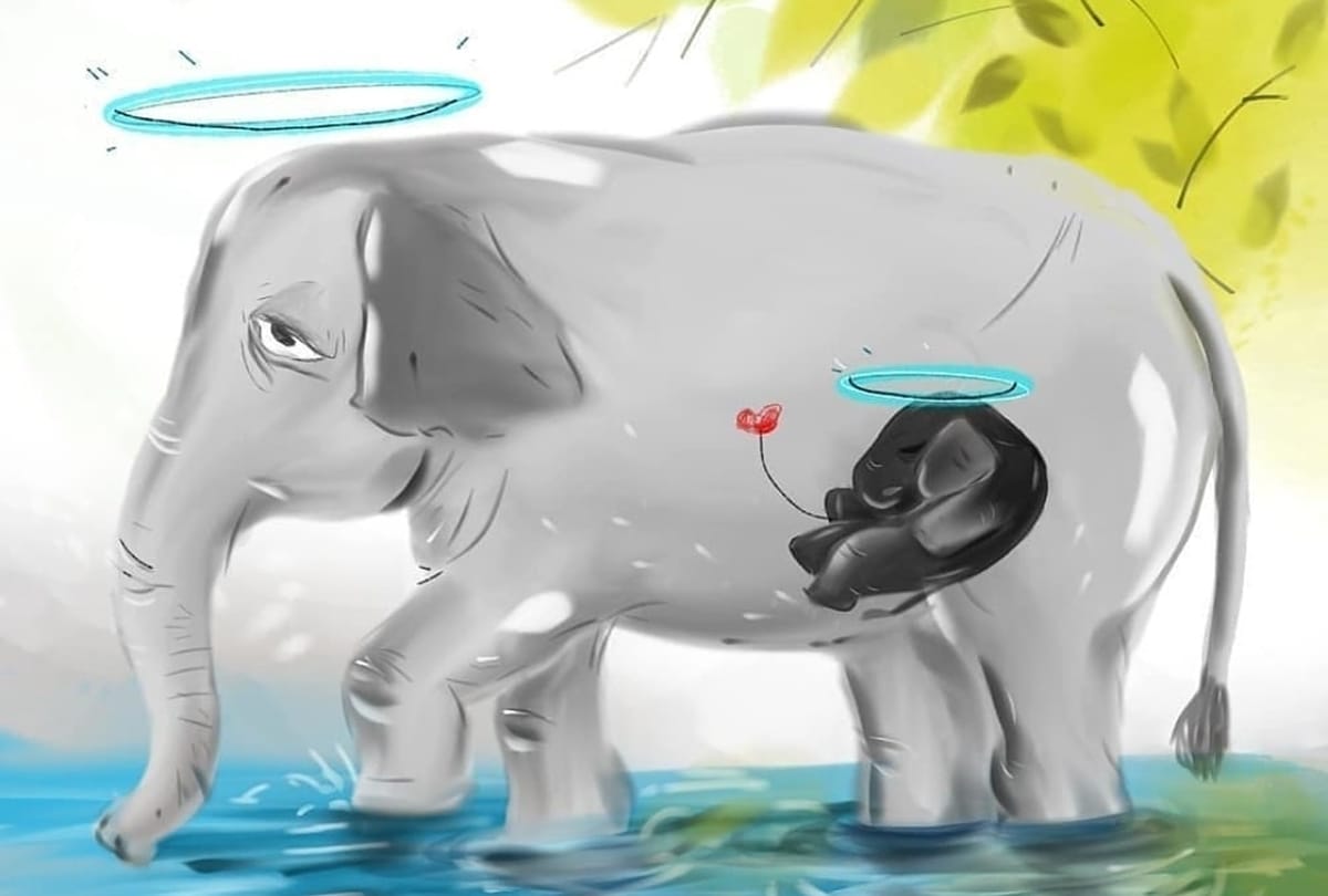 Pregnant elephant: Virat Kohli Appalled to hear about what happened in Kerala, declares it coward act