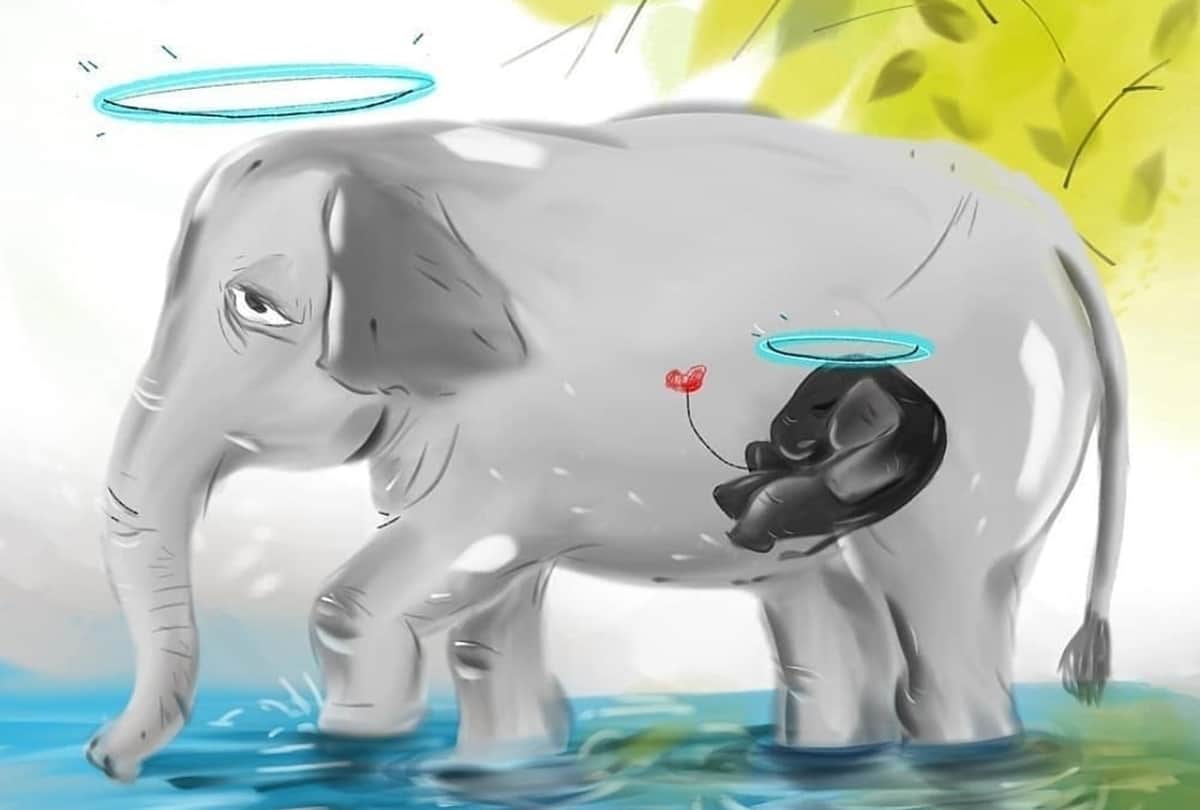 Kapil sharma and Shraddha Kapoor urges people to sign petition for strict action against animal cruelty