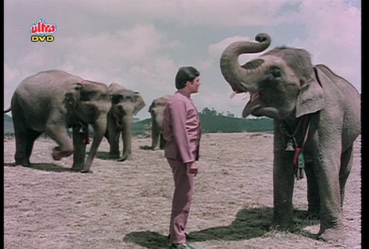 Pregnant elephant dies in Kerala bollywood songs based on animals