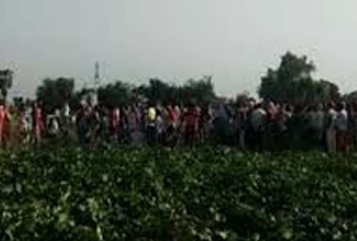 Farmer beaten to death in auraiya up