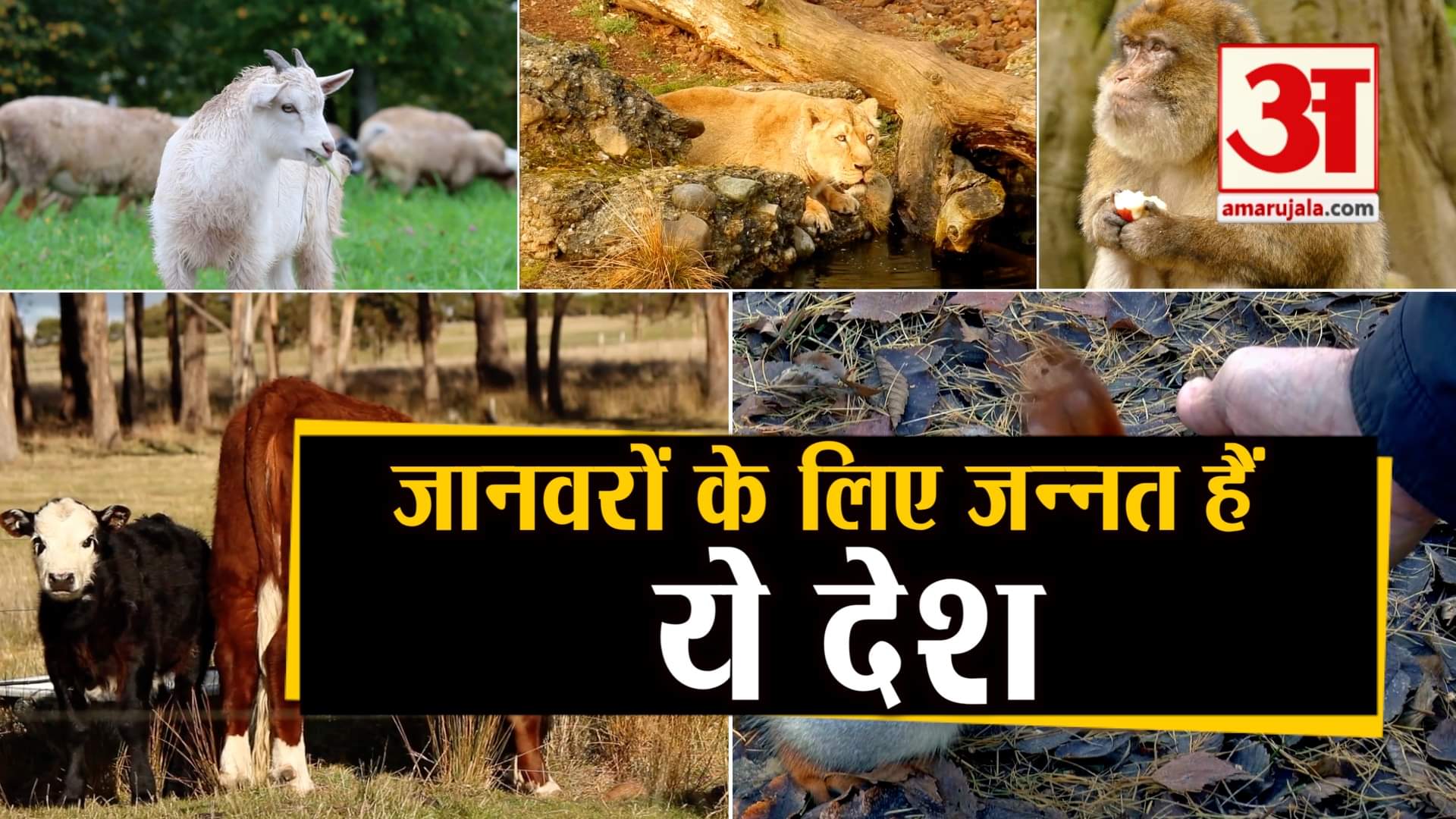 प्रतीकात्मक तस्वीर