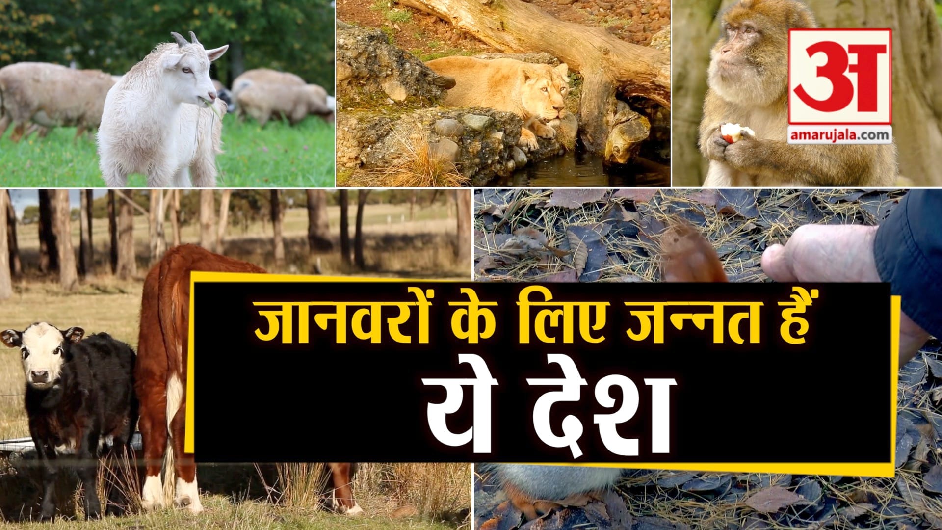 प्रतीकात्मक तस्वीर