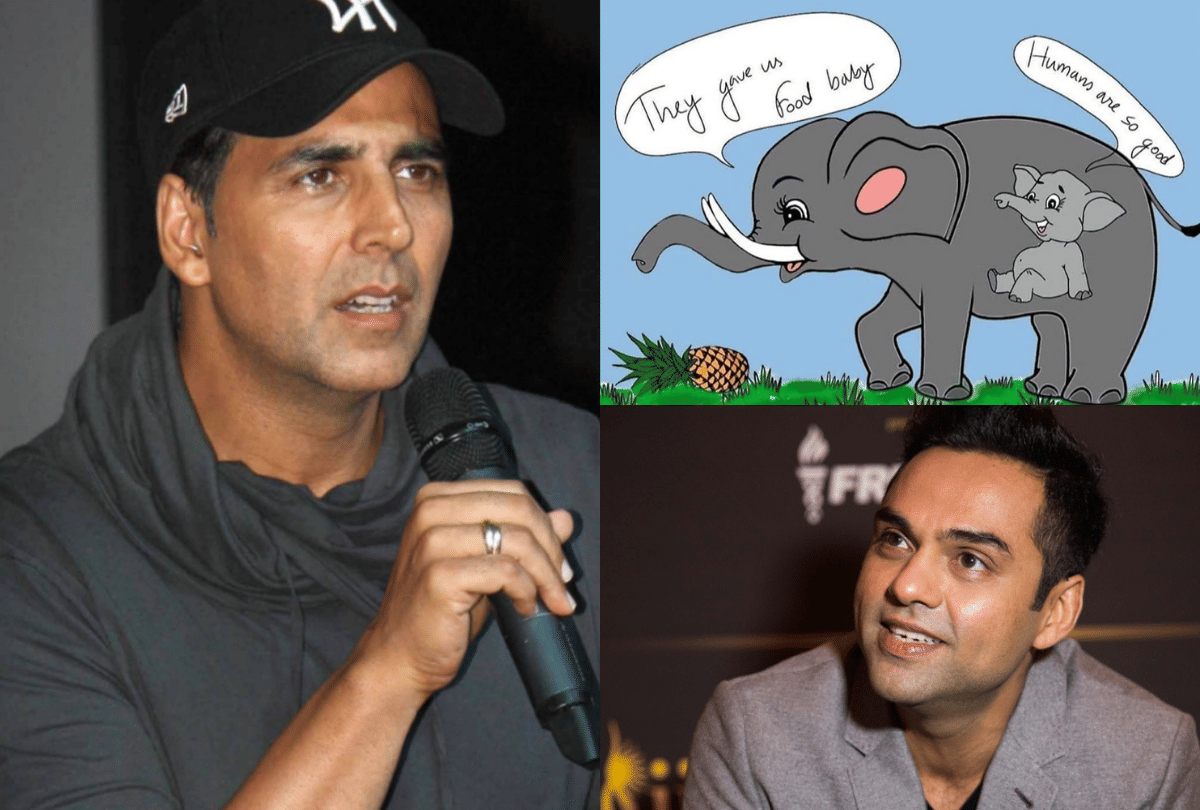 Bollywood Stars On Pregnant Elephant Killed and Abhay Deol Slams Woke Indian Celebrities entertainment news