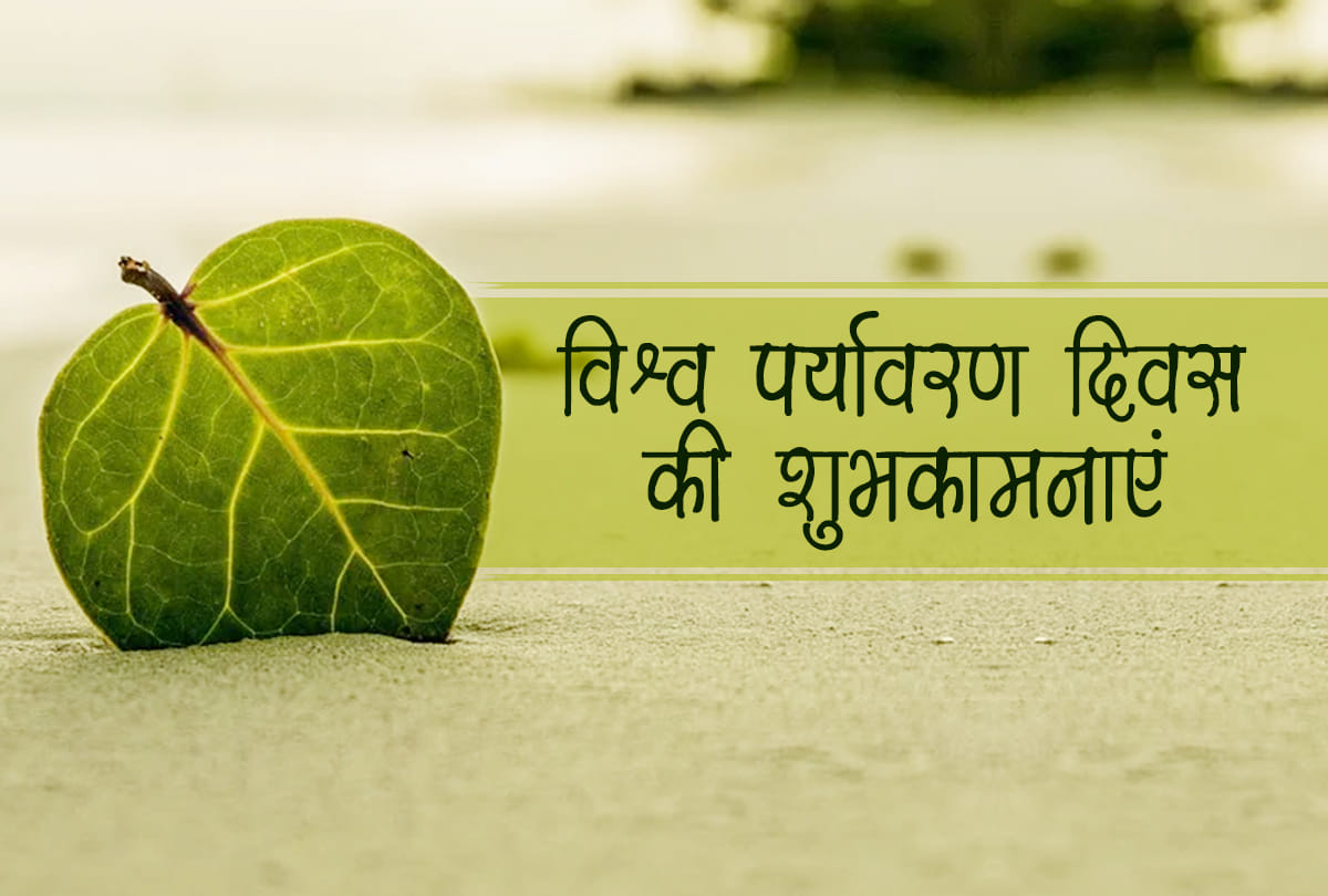 world environment day 2021 these trees are provide oxygen and importance in hindu religion
