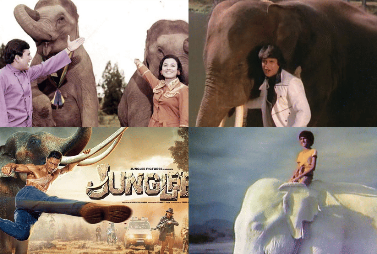 five bollywood films based on friendship between human and elephant Haathi Mere Saathi Junglee