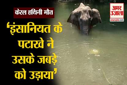Kerala Elephant Incident