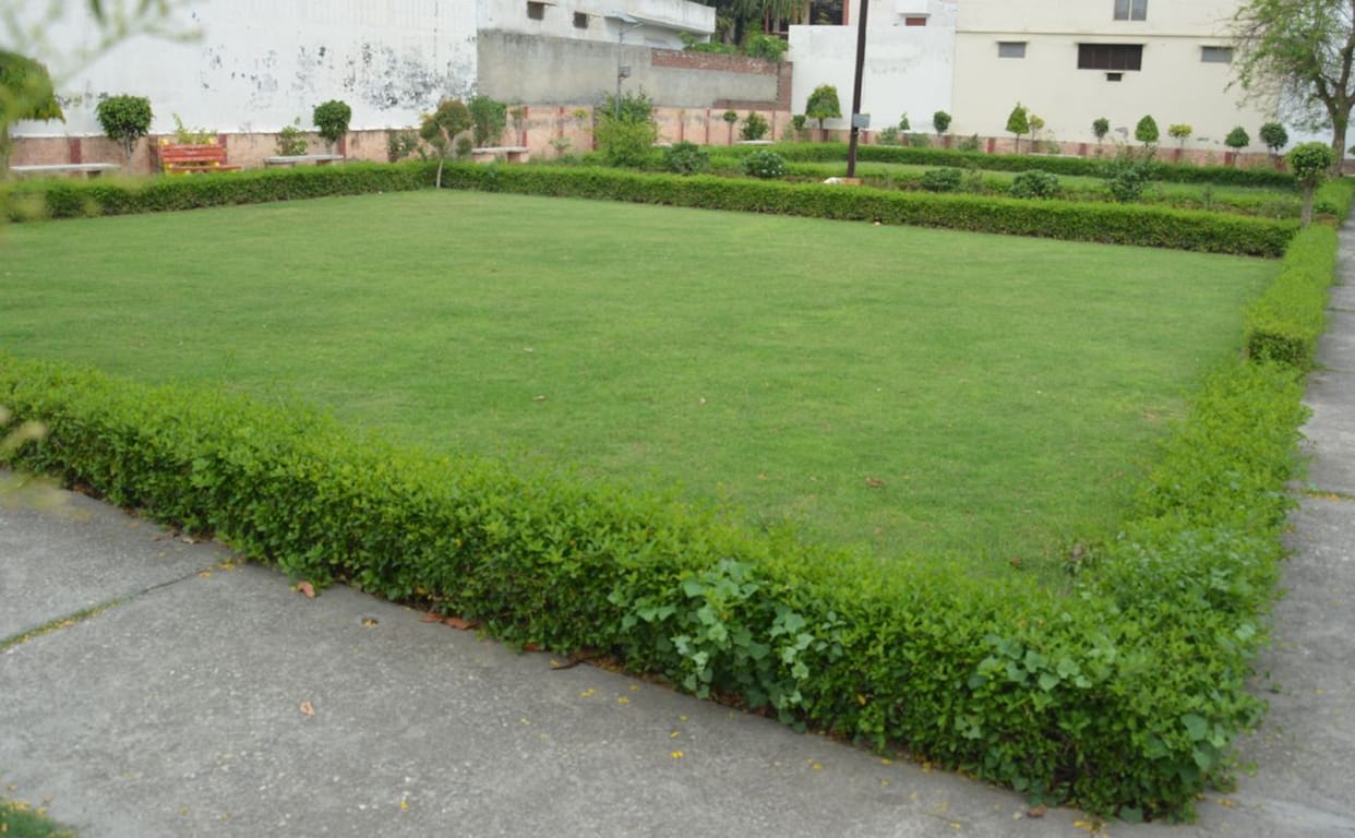 Gayatri Chaudhary organized the park