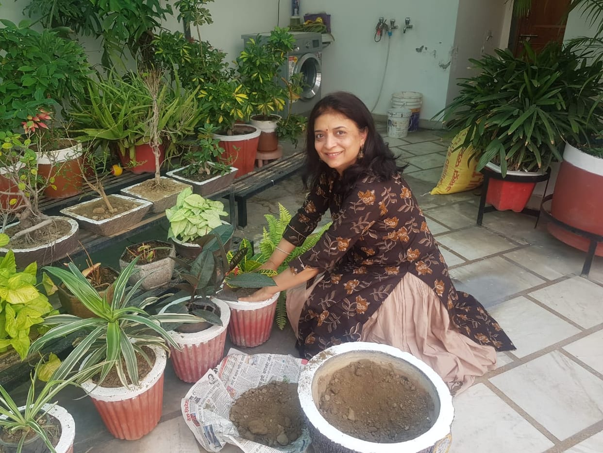 Environment smiled, greenery blossomed