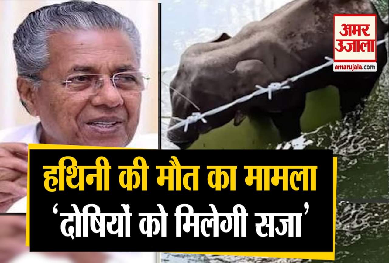 गर्भवती हथिनी की मौत