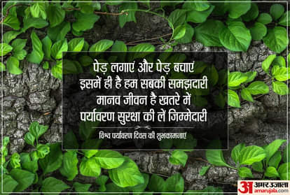 world environment day 2021 plantation can be avoid vastu defects