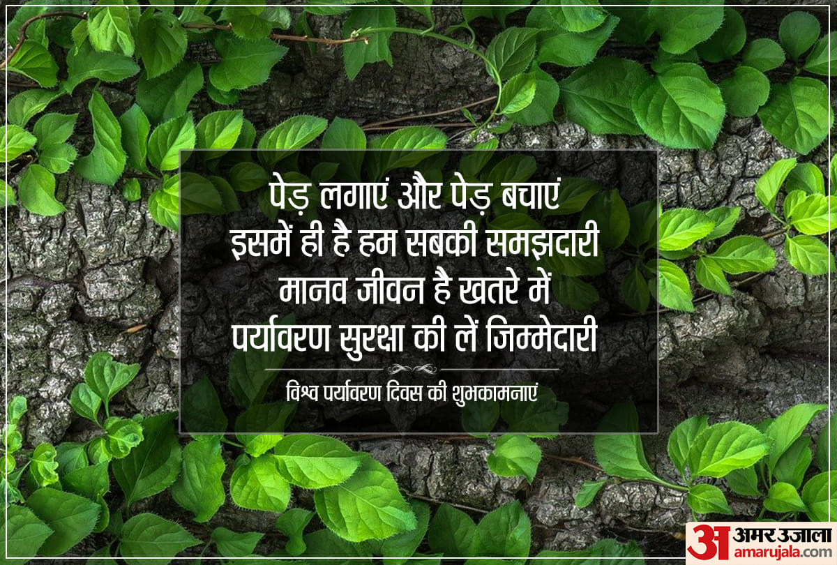 world environment day 2021 plantation can be avoid vastu defects