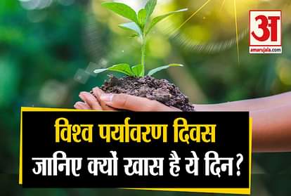 World Environment Day is celebrated every year on 5 June,  Know why this day is so special