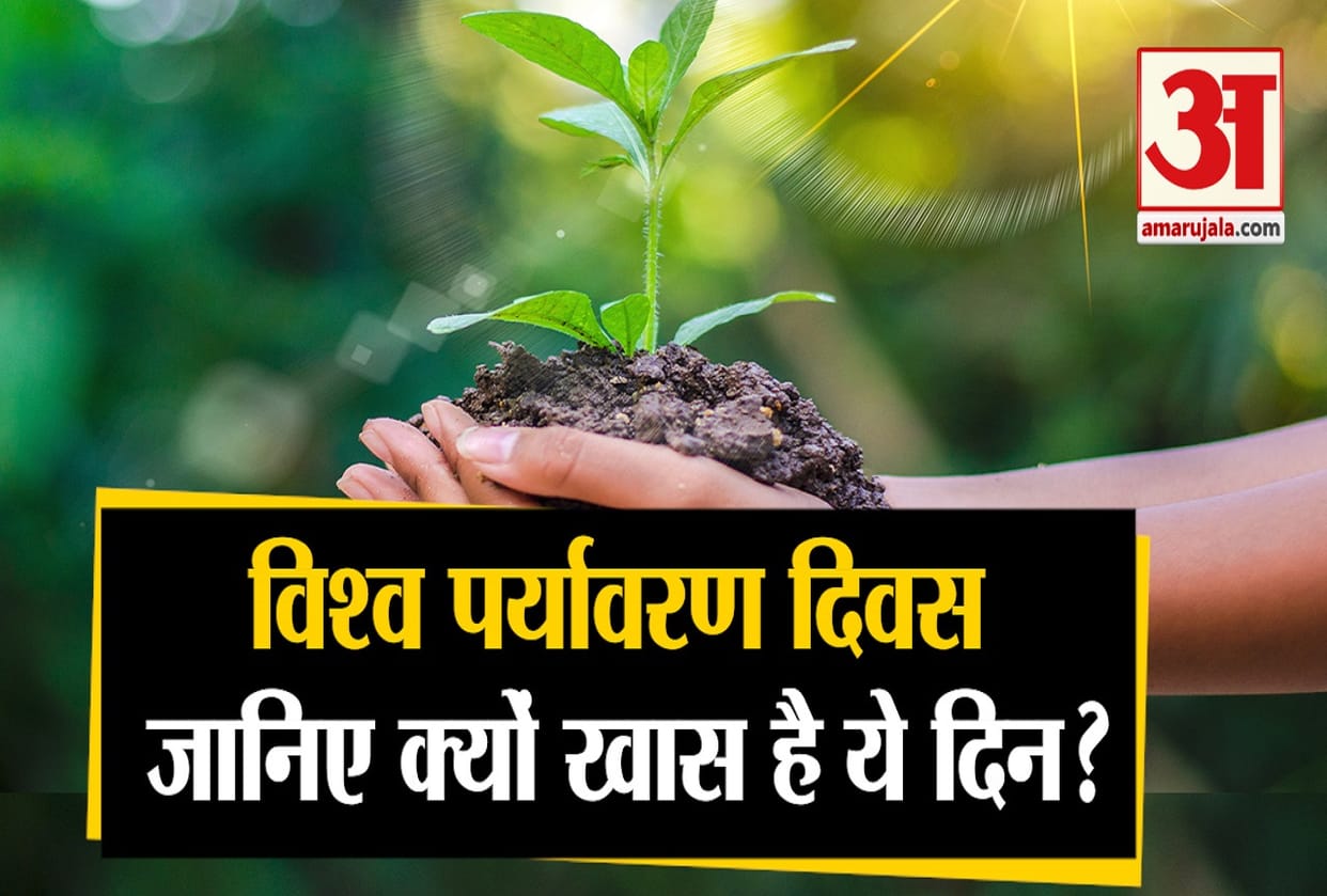 World Environment Day 2021 theme This is the theme of this year know how to celebrate this day