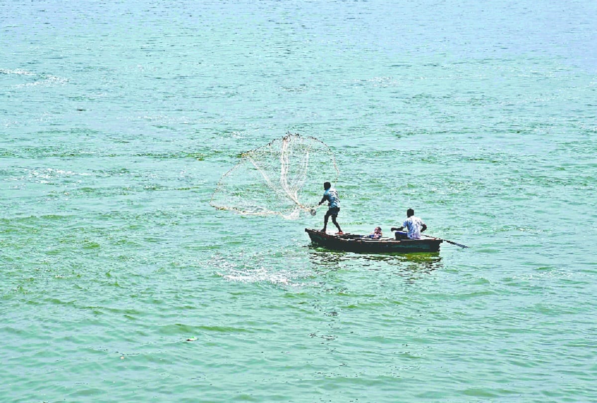 Lockdown improves nature and environment, Yamuna becomes cleaner, air clear