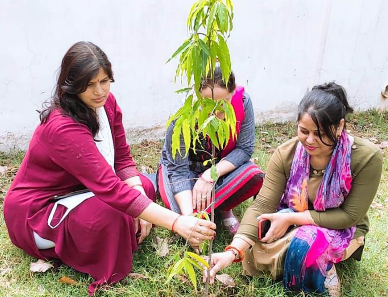 Planting saplings on World Environment Day
