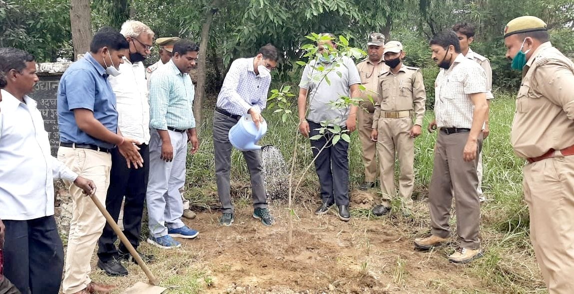 World Environment Day: Planting was done