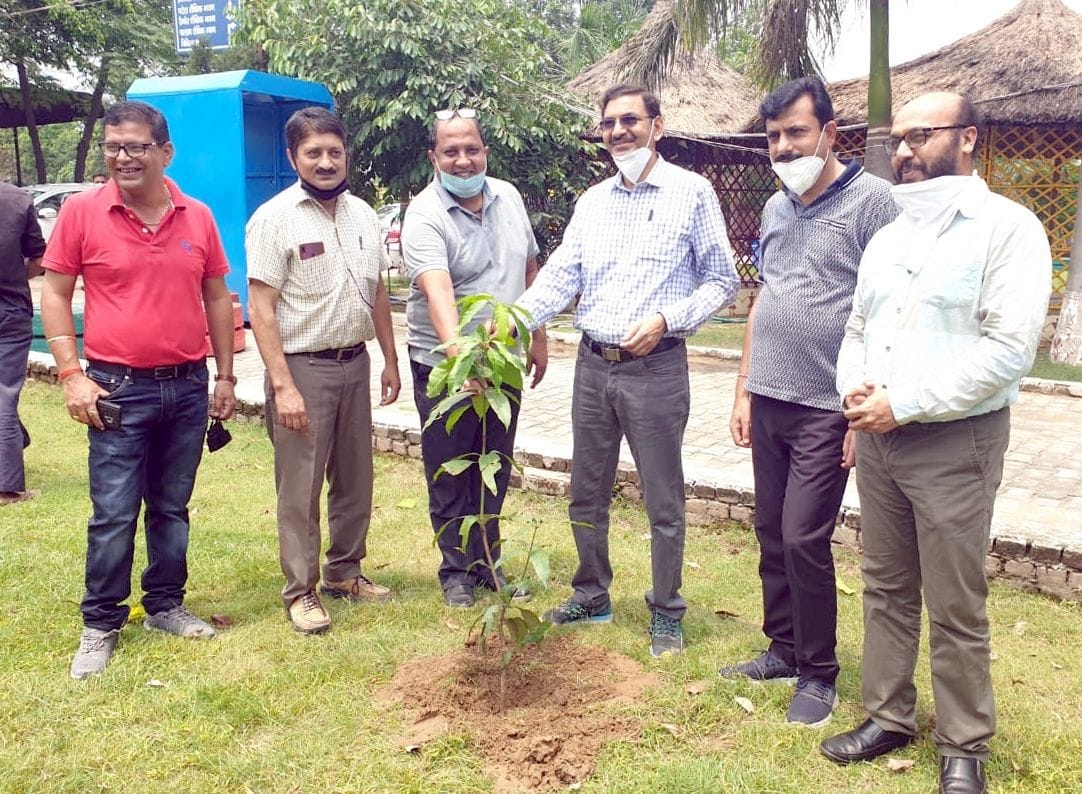 Plants planted at Vivek College