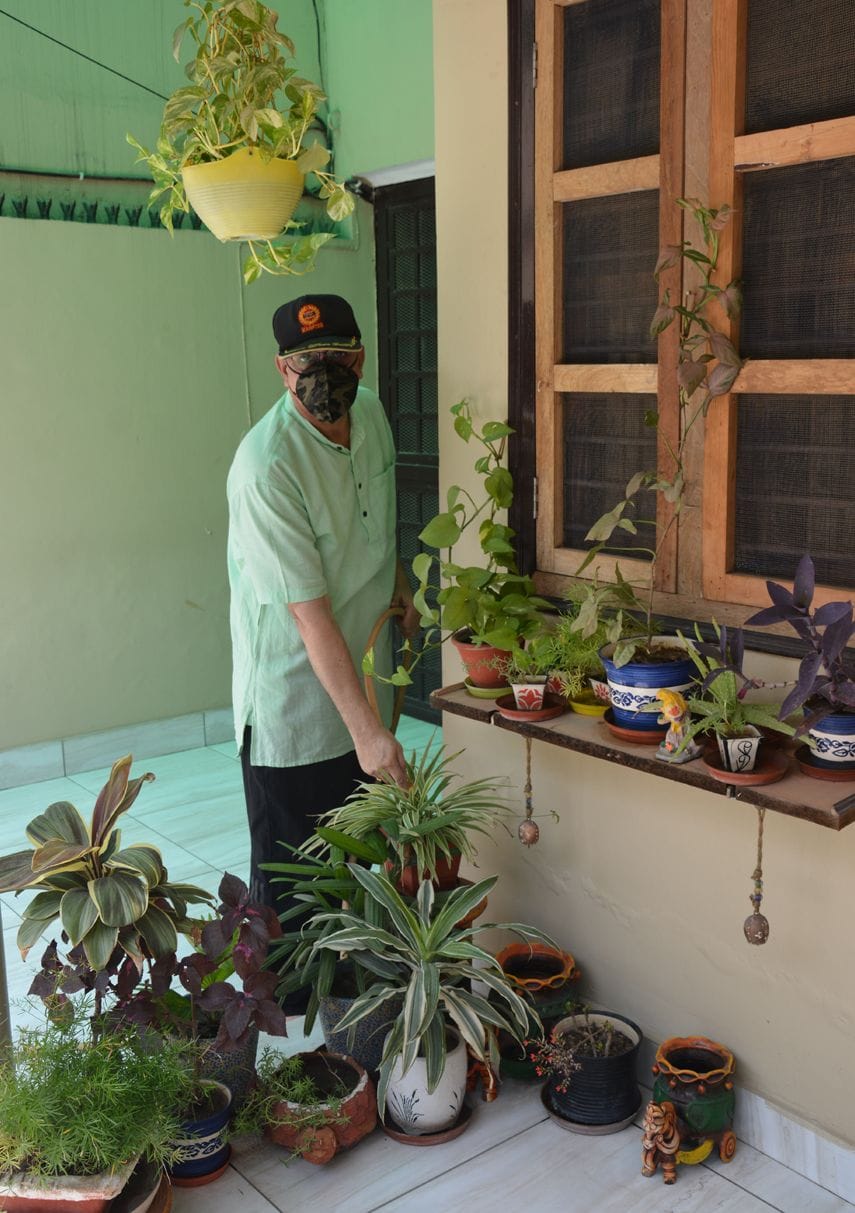 Balcony garden