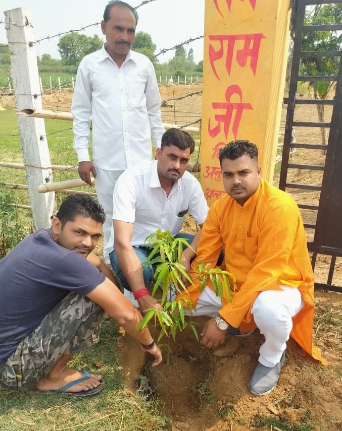 Cow Defense Committee did plantation