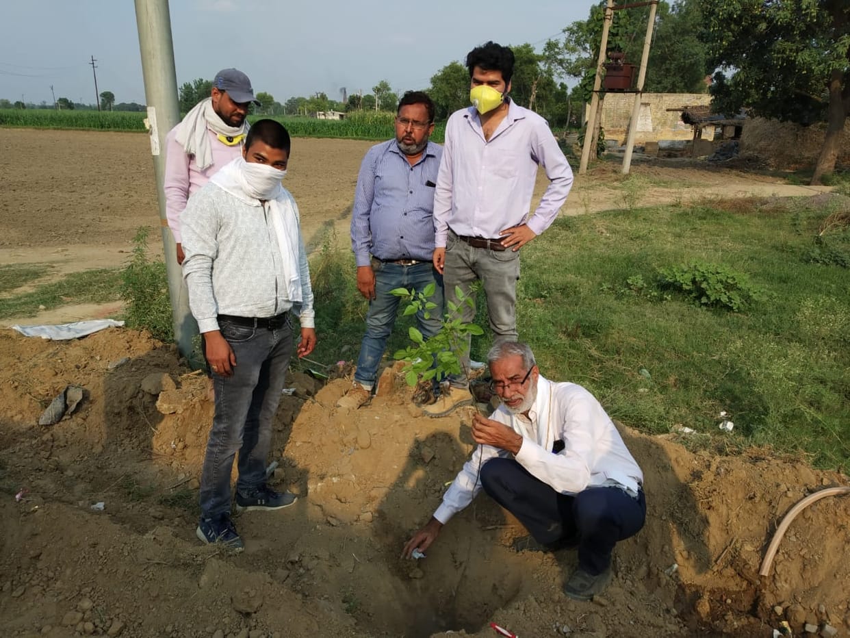 Plantation was done in the district on World Environment Day