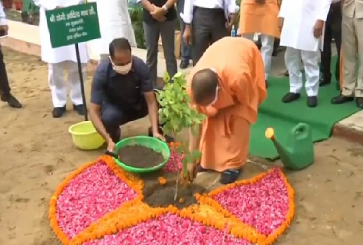 CM yogi adityanath planted sapling on his birthday PM Modi congratulated