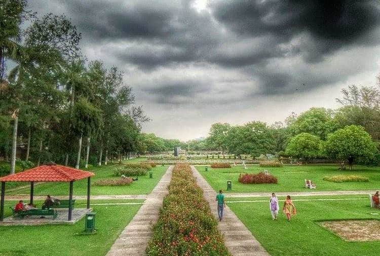 World Environment Day 2020: People Working to Save Greenery of City Beautiful Chandigarh