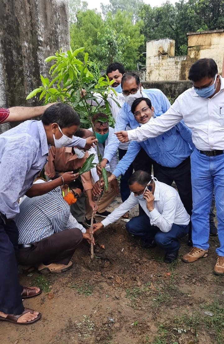Pledged to take care by planting saplings