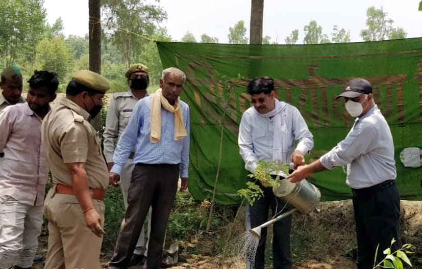 City will become carbon neutral, 50 thousand plants will be planted
