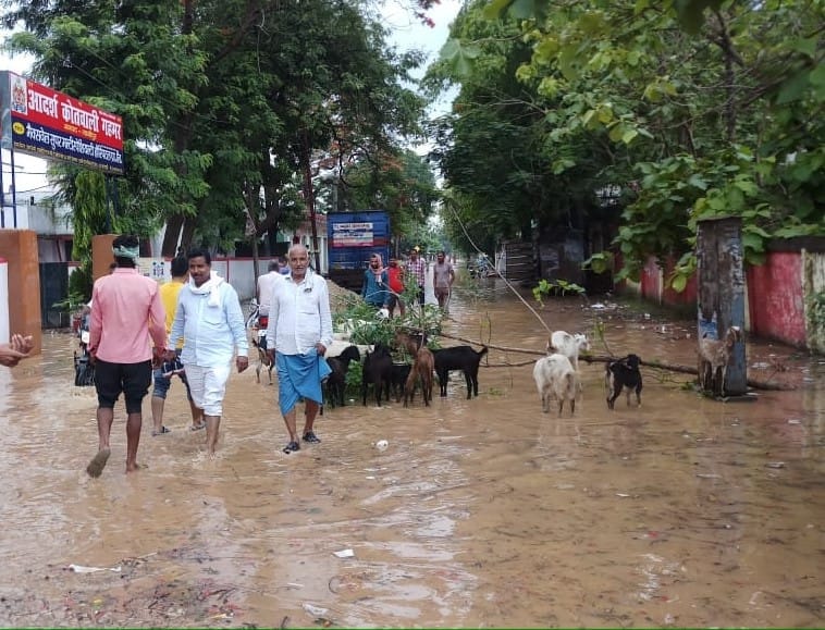 Farm and roads become rain due to rain