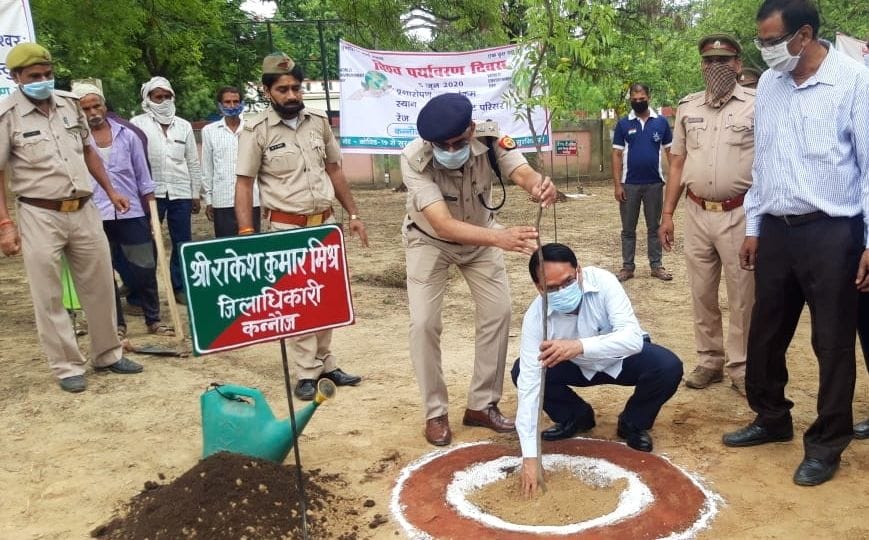 Plantation is very important for pure environment: DM