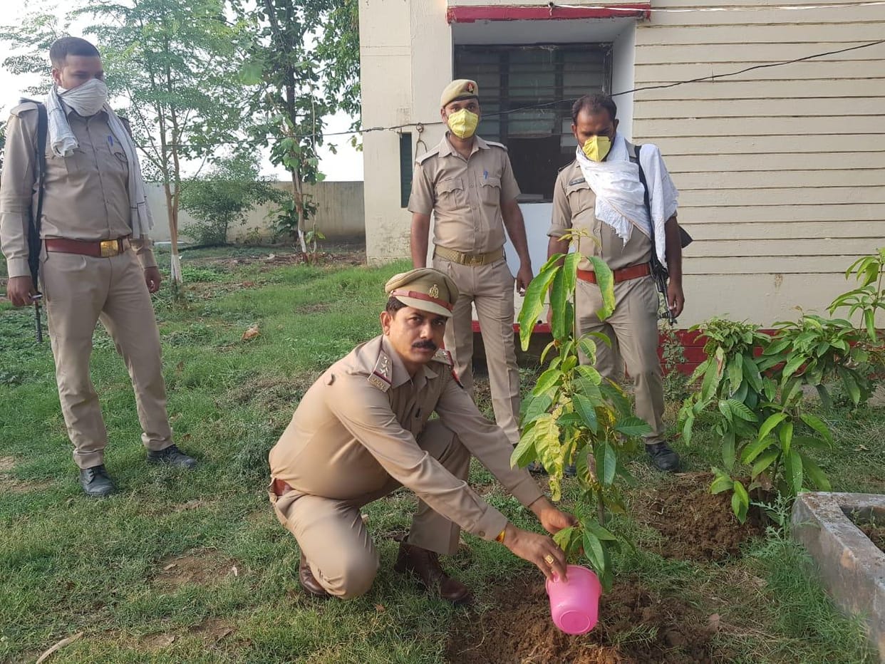 Humans are responsible for improving the spoil of environment