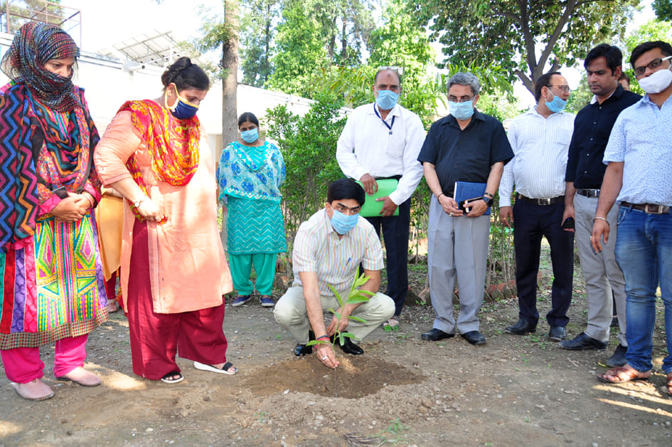 Planting done on World Environment Day