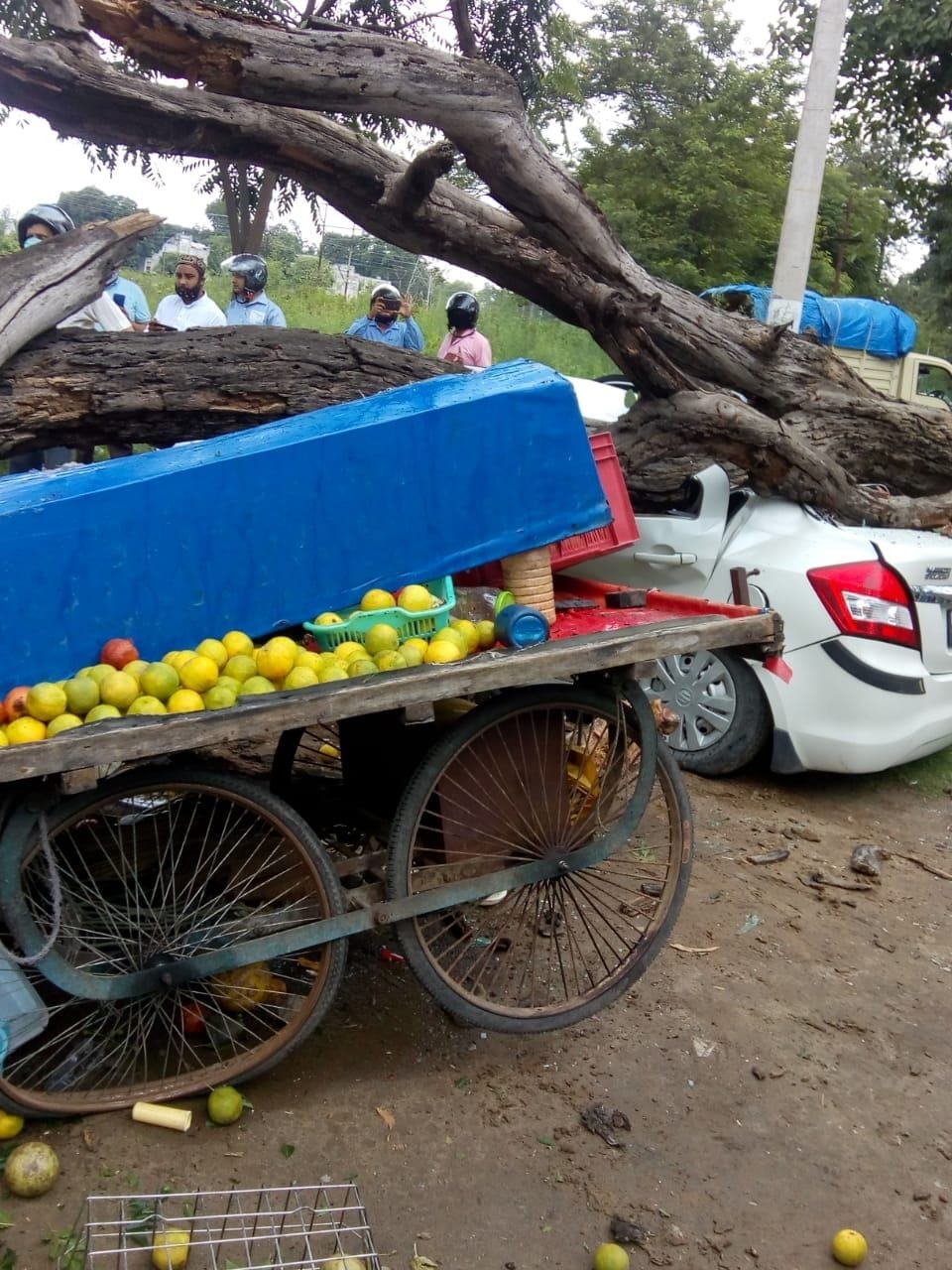 Juice seller injured due to tree fall
