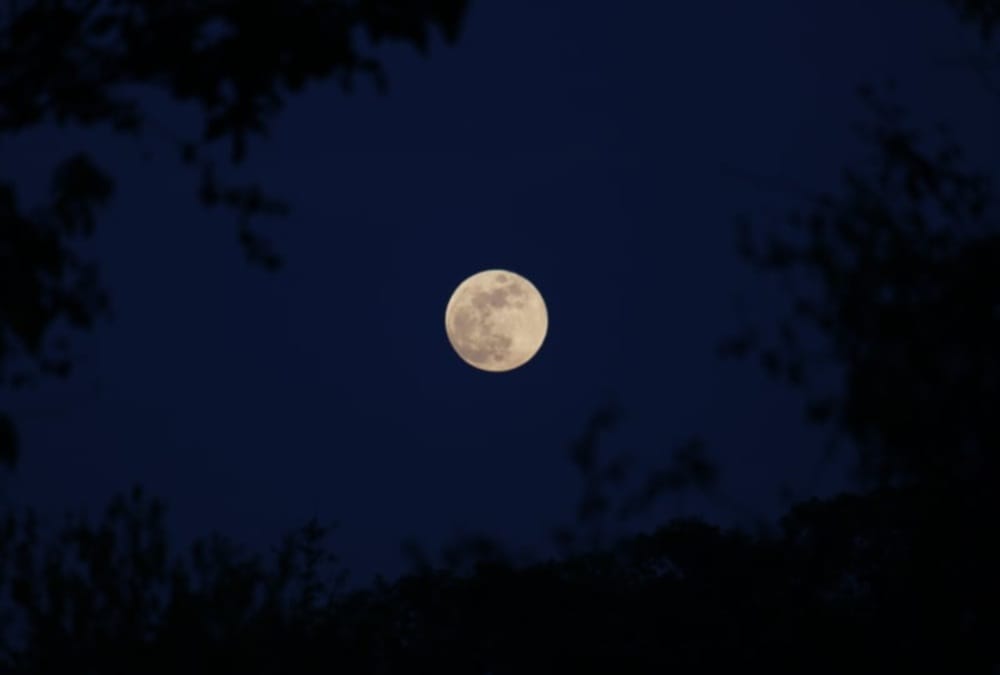 Chandra Grahan 2020: Moon Awesome Photos before Grahan in dehradun