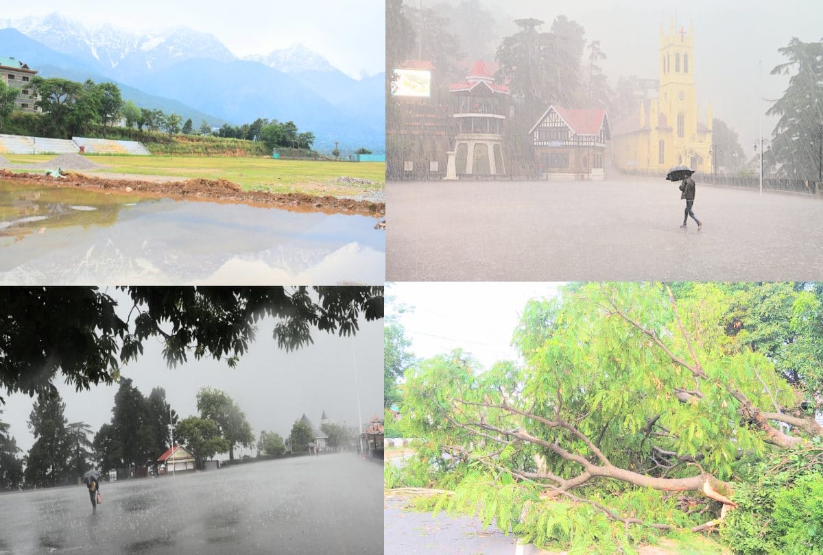 Snowfall in Himachal peaks, heavy rain in Shimla, hailstorm damage to crops