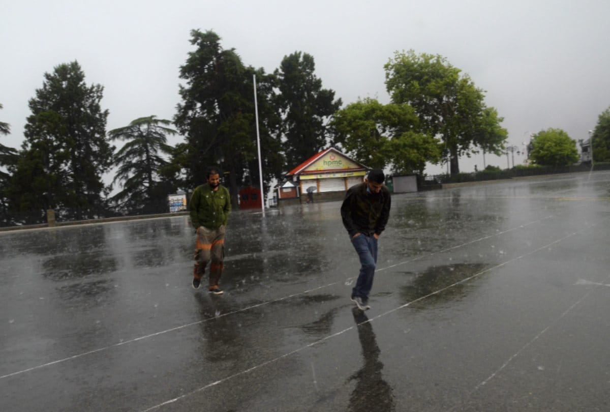 Snowfall in Himachal peaks, heavy rain in Shimla, hailstorm damage to crops