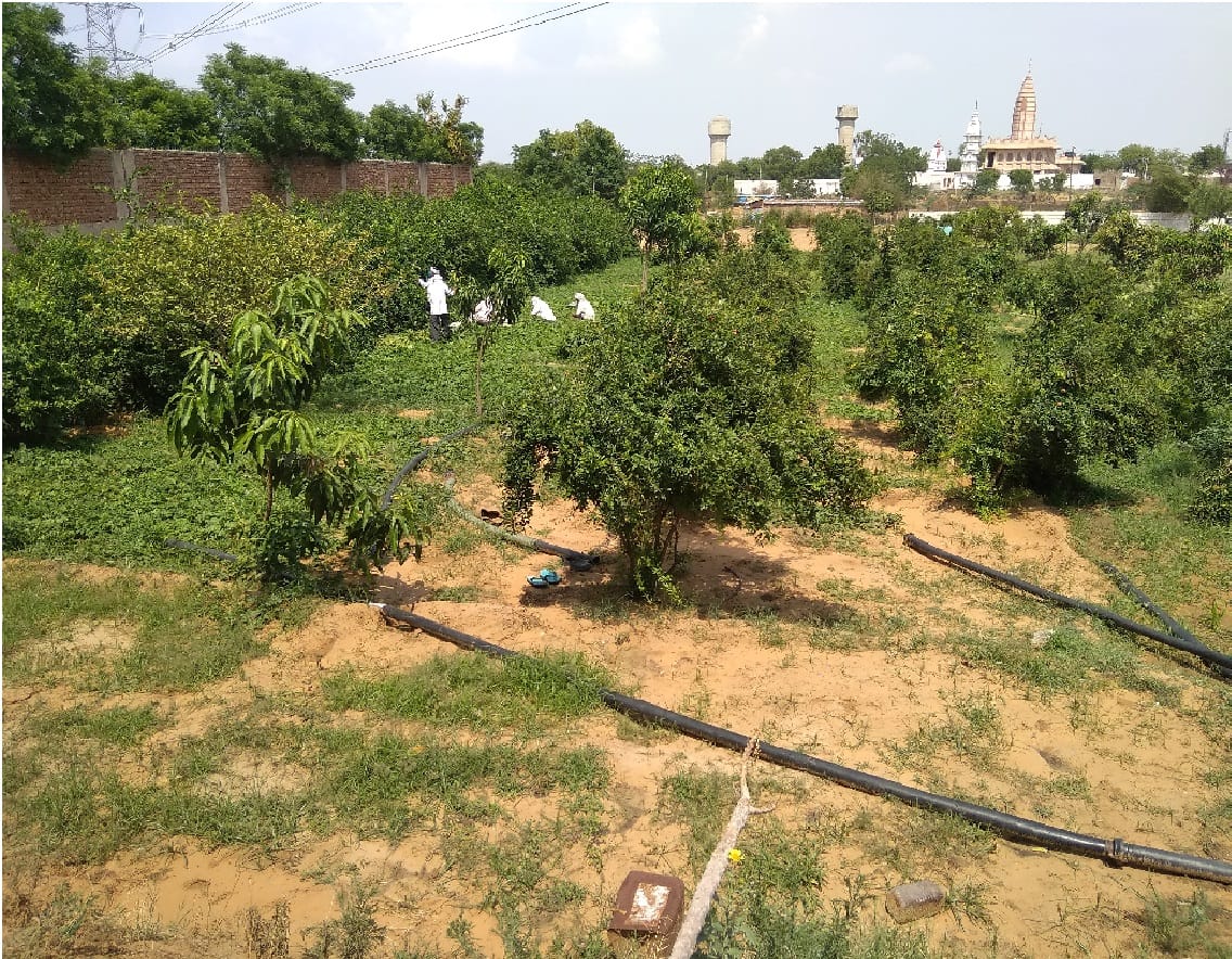 Agricultural diversification the need for modern farming author Dr. Mohinder Singh