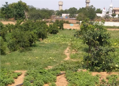 Agricultural diversification the need for modern farming author Dr. Mohinder Singh