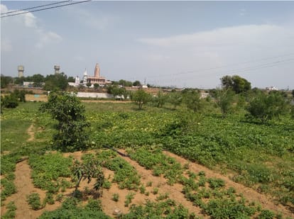 Agricultural diversification the need for modern farming author Dr. Mohinder Singh