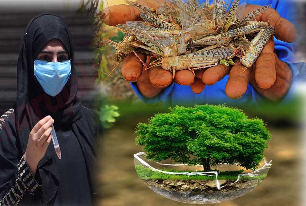 world environment day 2021 india and climate change situation known Environmental issues in India