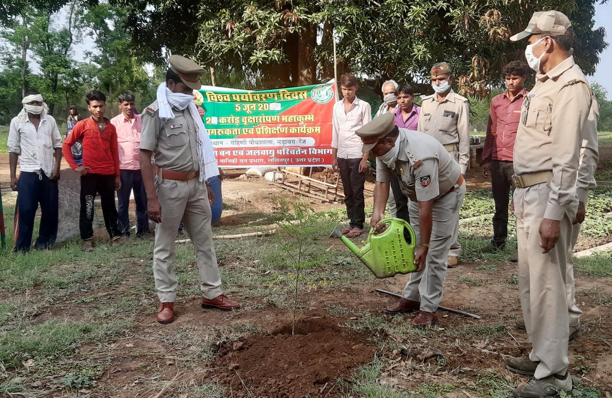 Save Environment to save plant